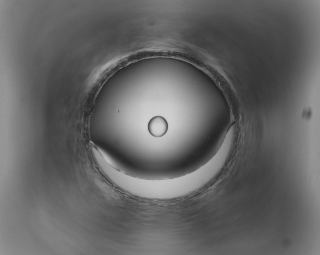 X0000111011304200907101306