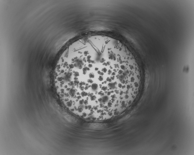 X0000111011305200907101306