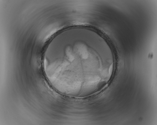 X0000111011306200907101306
