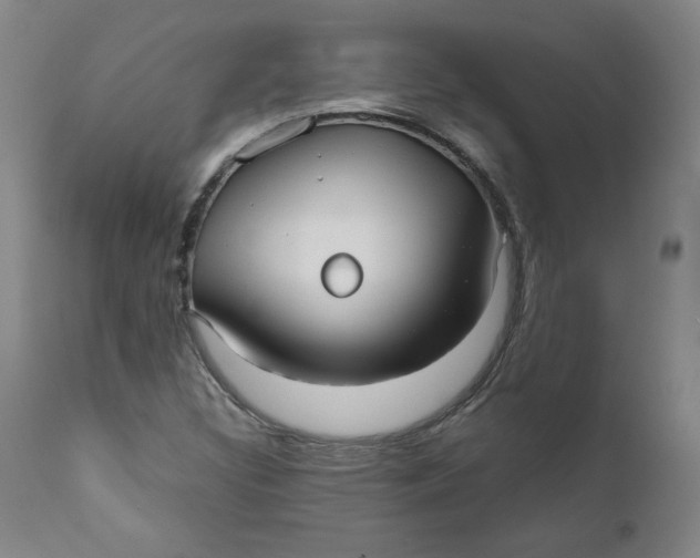 X0000111011308200907101306