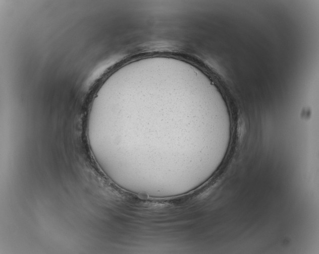 X0000111011309200907101306