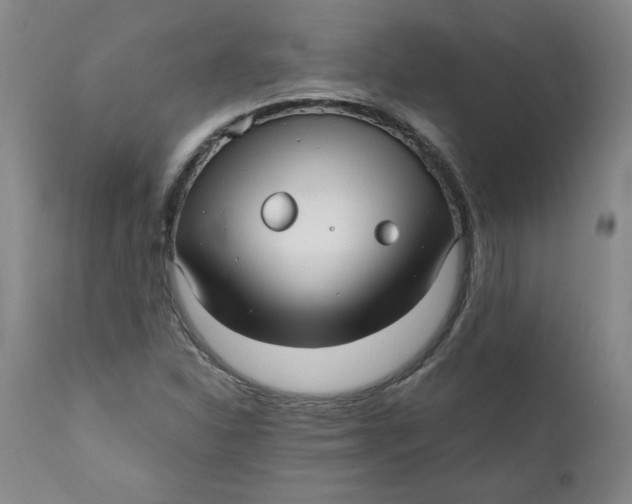 X0000111011310200907101306