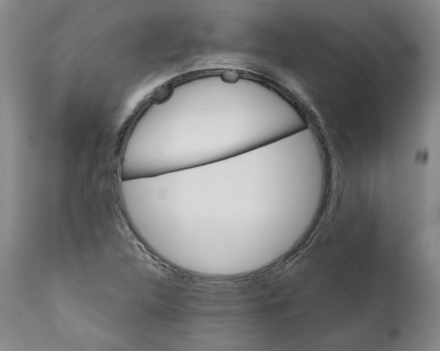 X0000111011312200907101306