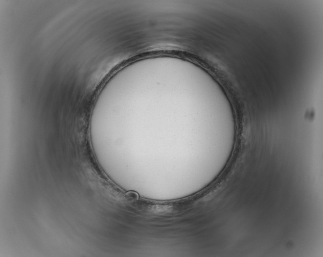 X0000111011313200907101306