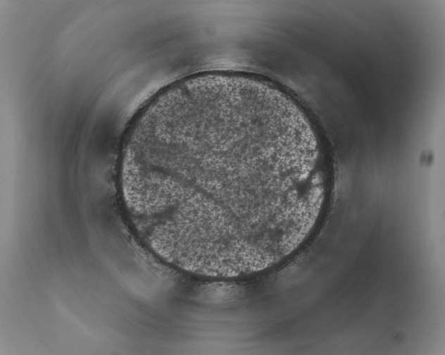 X0000111011314200907101306