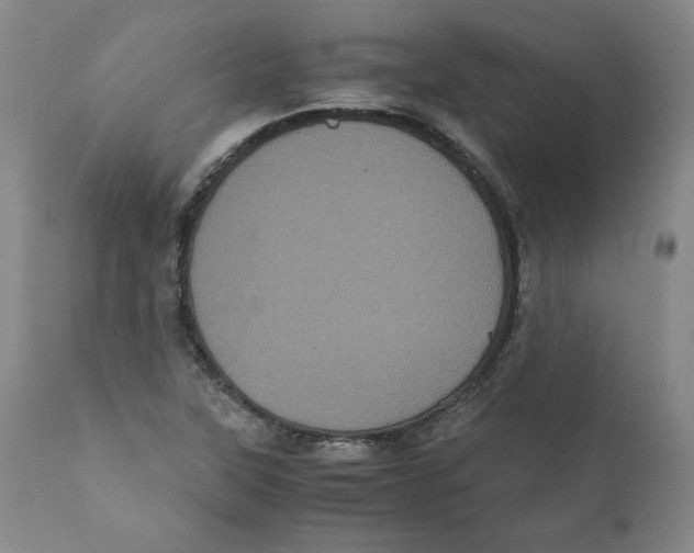 X0000111011315200907101306