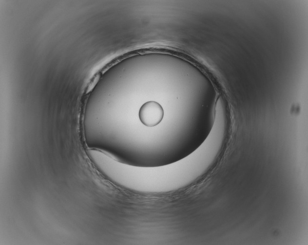 X0000111011316200907101306