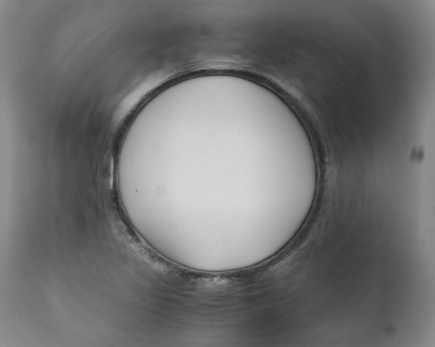 X0000111011317200907101306