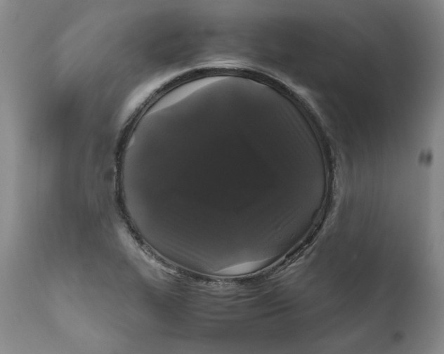 X0000111011319200907101306
