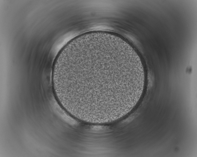 X0000111011322200907101306