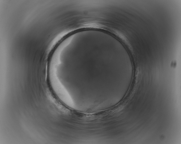 X0000111011323200907101306
