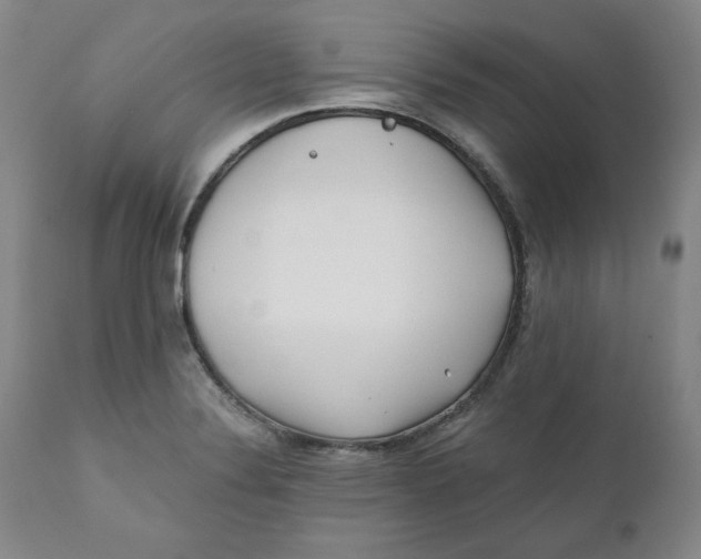 X0000111011324200907101306