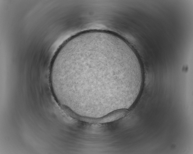 X0000111011326200907101306