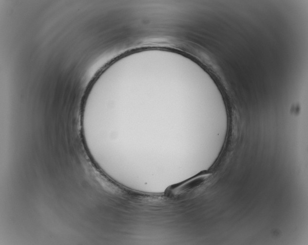 X0000111011328200907101307