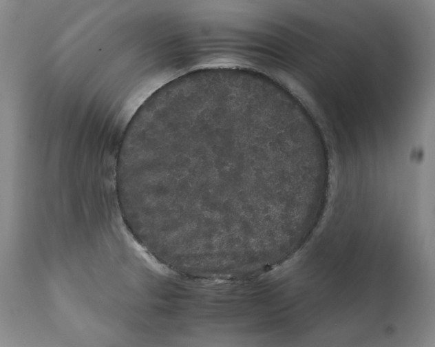 X0000111011329200907101307