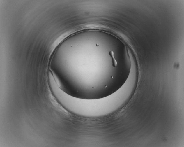 X0000111011330200907101307
