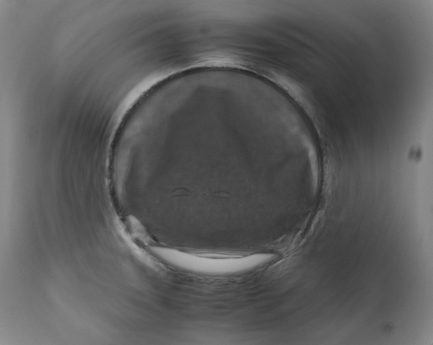 X0000111011331200907101307