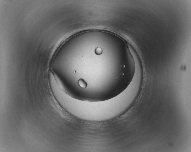 X0000111011332200907101307