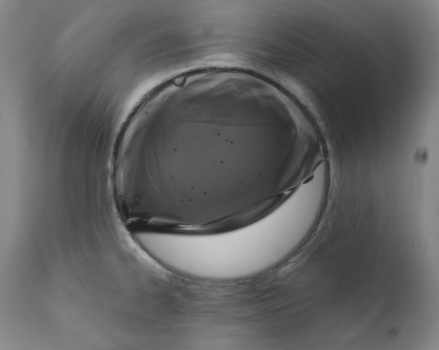 X0000111011334200907101307