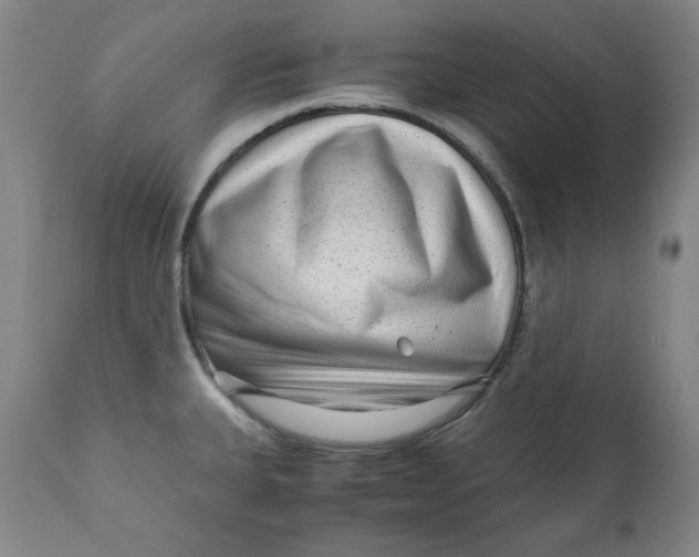 X0000111011335200907101307