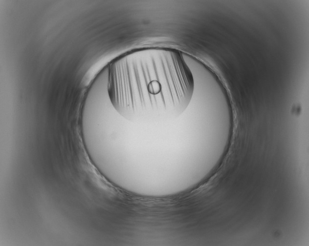 X0000111011336200907101307