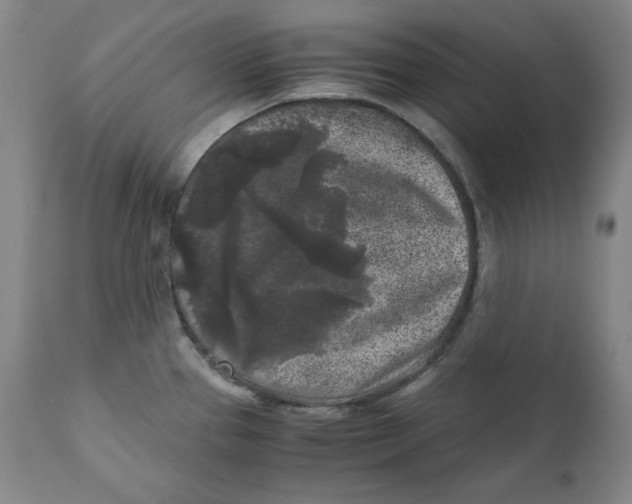 X0000111011337200907101307