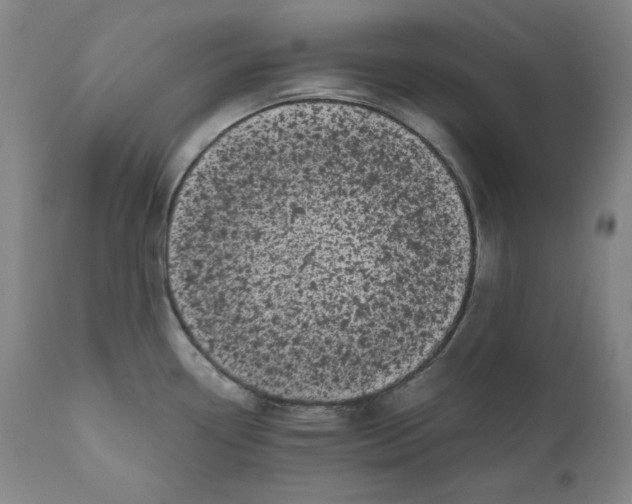 X0000111011338200907101307