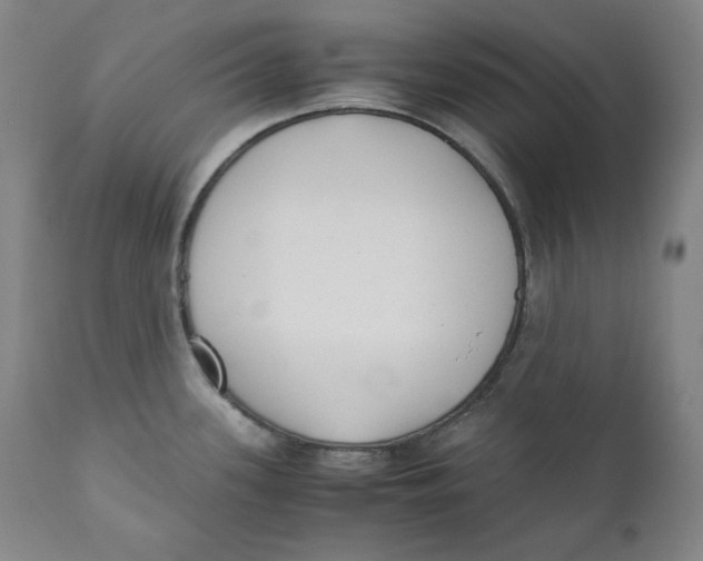 X0000111011339200907101307