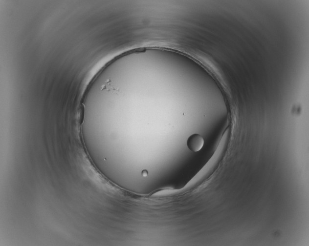 X0000111011340200907101307