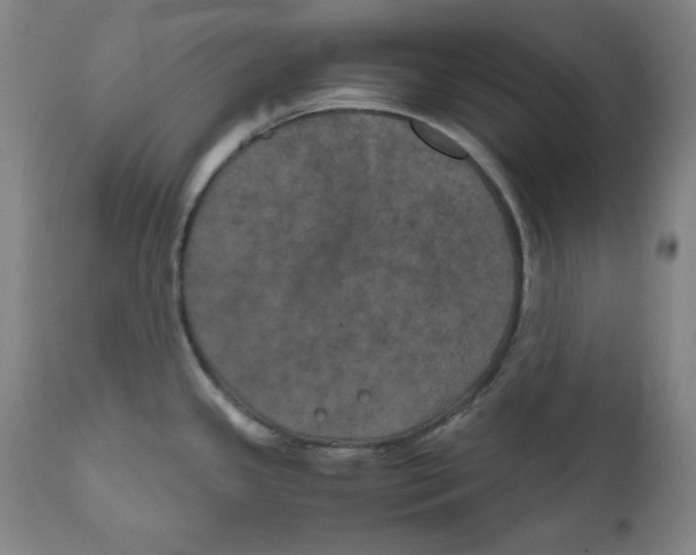 X0000111011341200907101307