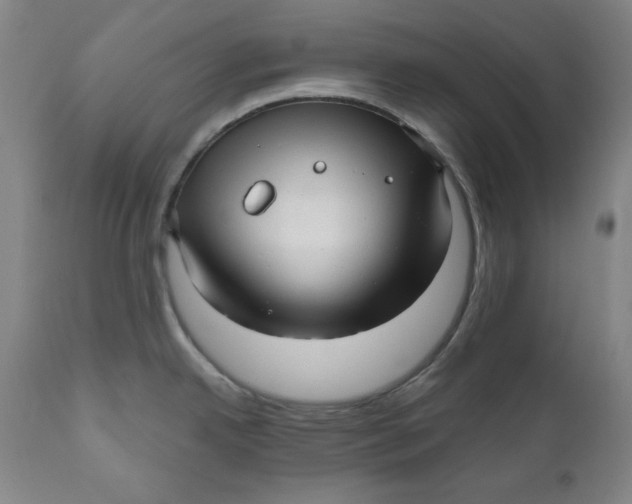X0000111011342200907101307