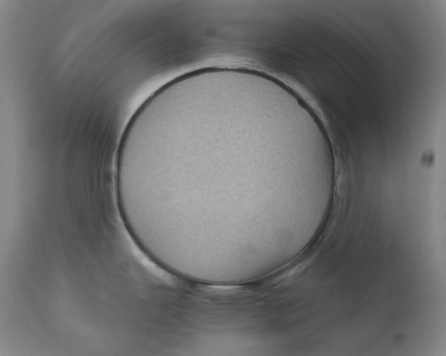 X0000111011343200907101307