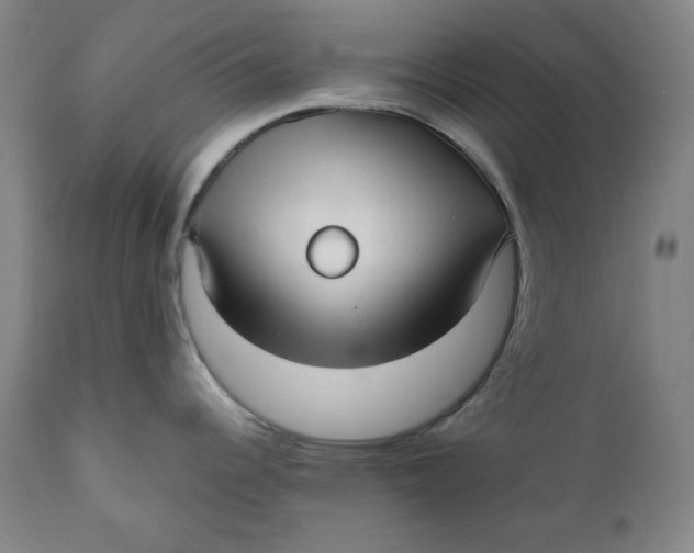 X0000111011344200907101307