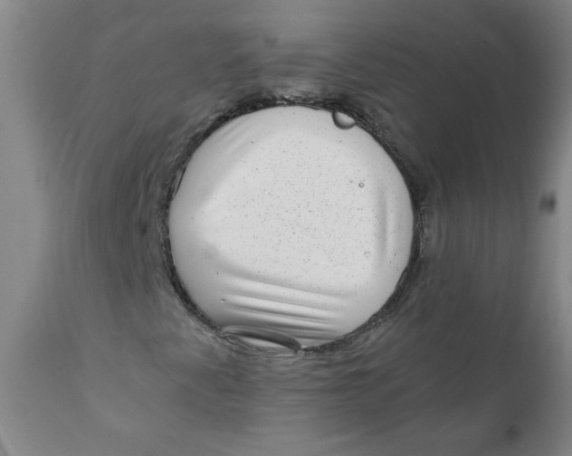 X0000111011345200907101306