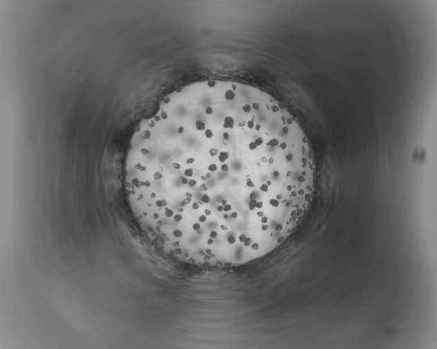 X0000111011346200907101306