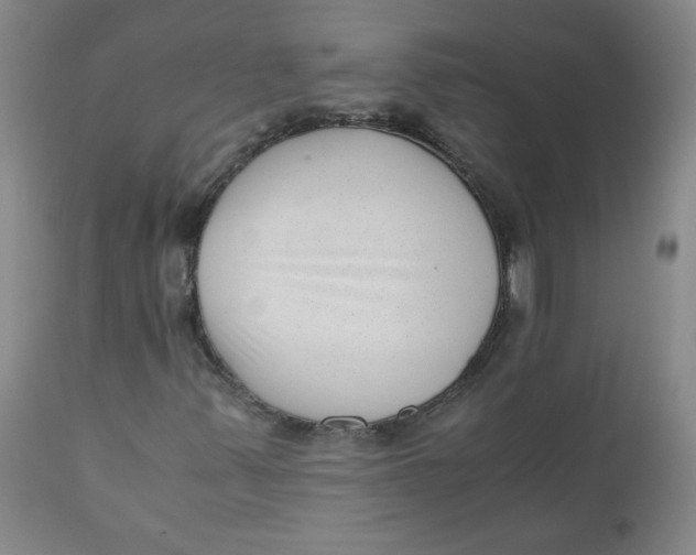 X0000111011347200907101306