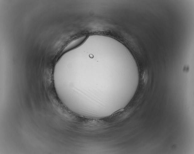 X0000111011348200907101306