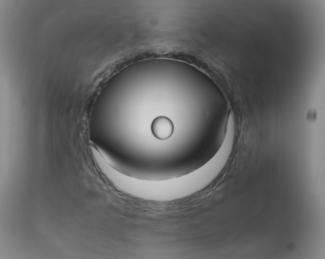 X0000111011349200907101306