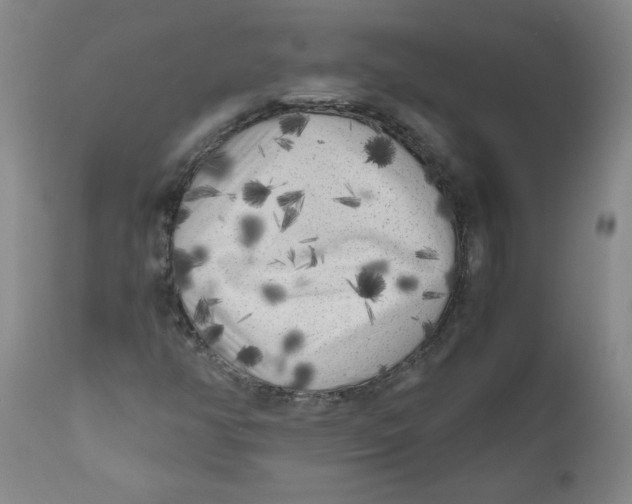 X0000111011350200907101306