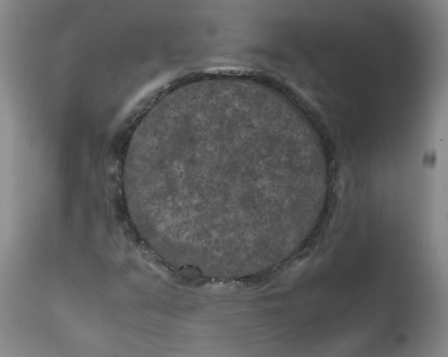 X0000111011351200907101306