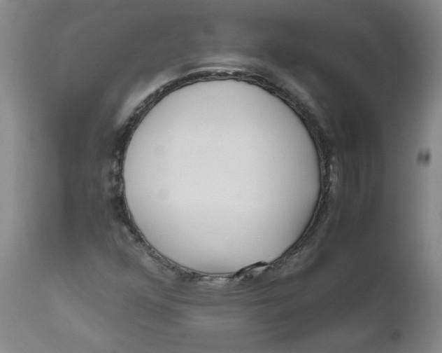 X0000111011352200907101306