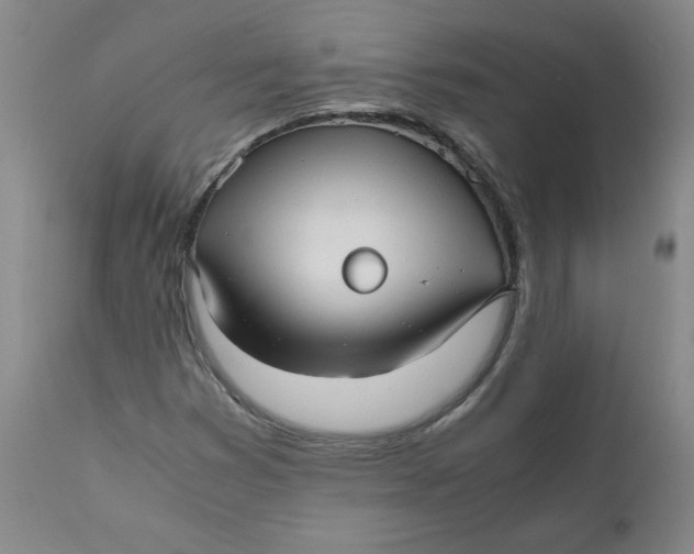 X0000111011353200907101306