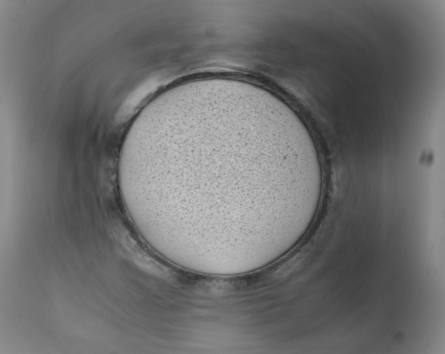 X0000111011355200907101306