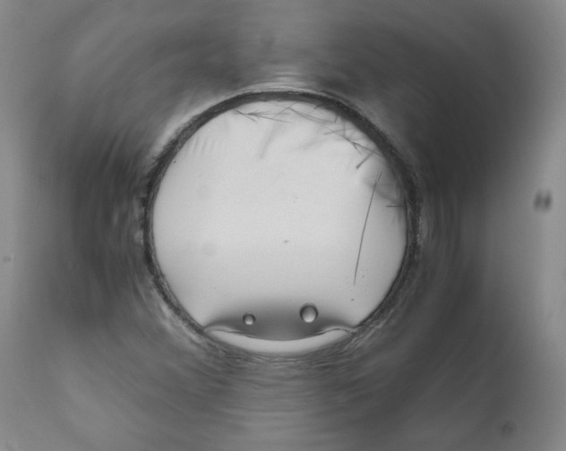 X0000111011356200907101306