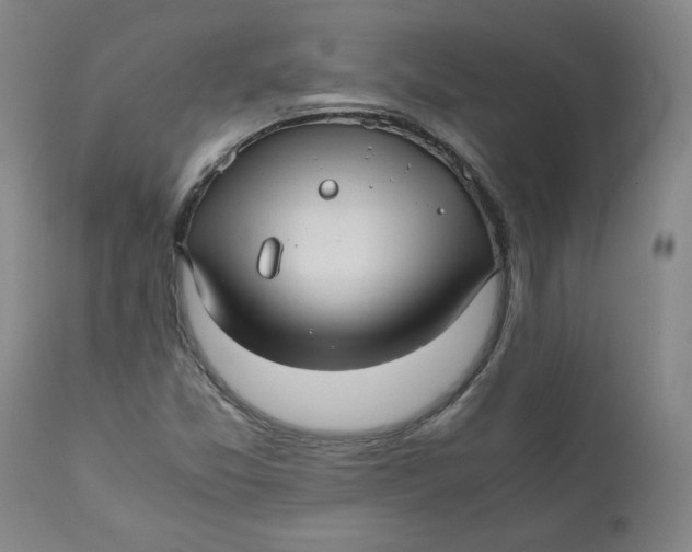 X0000111011357200907101306