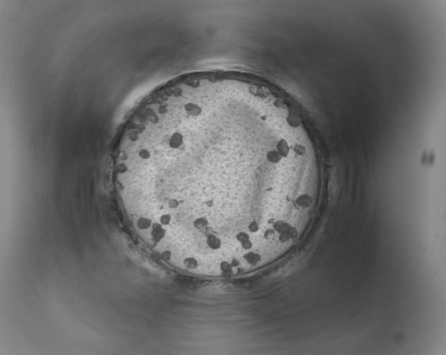 X0000111011358200907101306