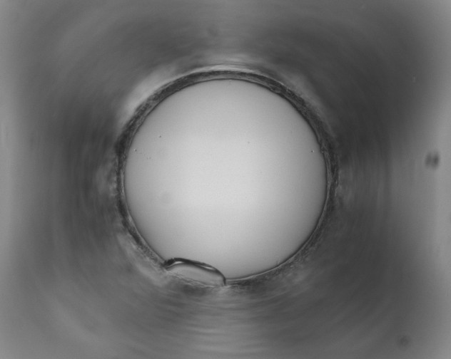 X0000111011360200907101306