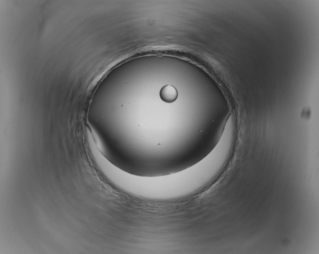 X0000111011361200907101306