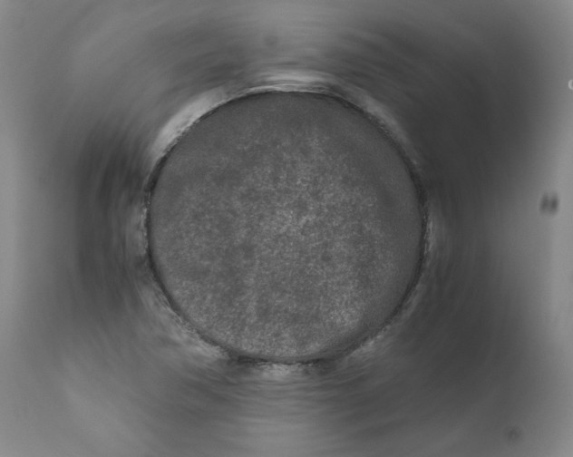 X0000111011362200907101306