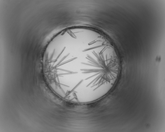 X0000111011363200907101306